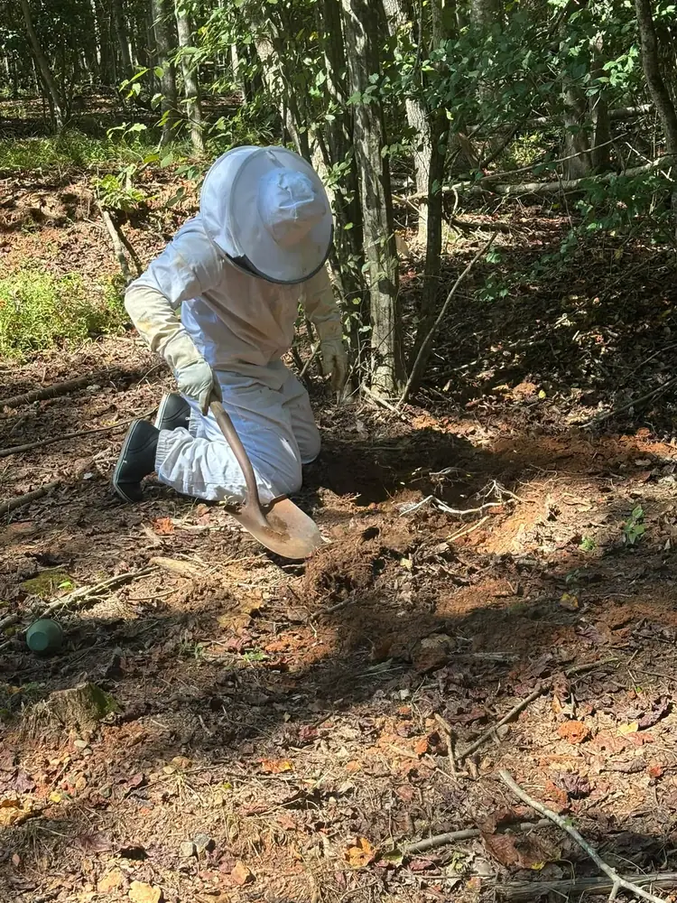 Skeeter's Pest Control technician in a bee suit digging out a ground nest