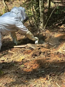Skeeter's Pest Control technician in a bee suit removing a ground nest