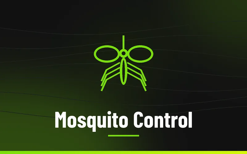 Mosquito Control in Wilkes County NC, Skeeter's Pest Control