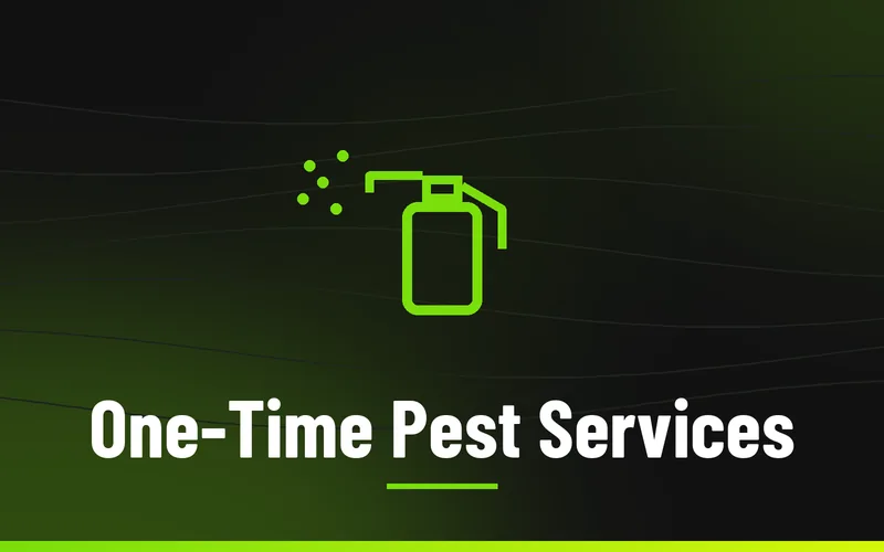 One-Time Pest Services in Wilkes County NC, Skeeter's Pest Control