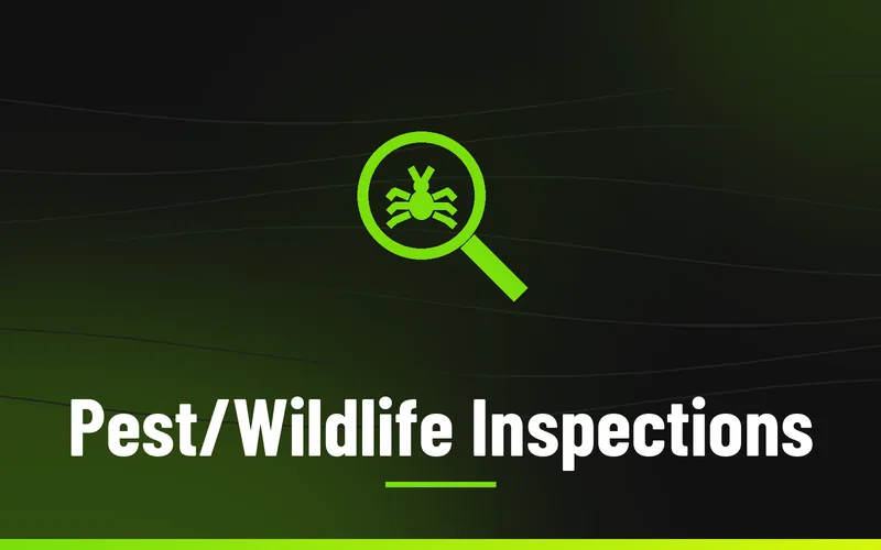 Pest/Wildlife Inspections in Wilkes County NC, Skeeter's Pest Control