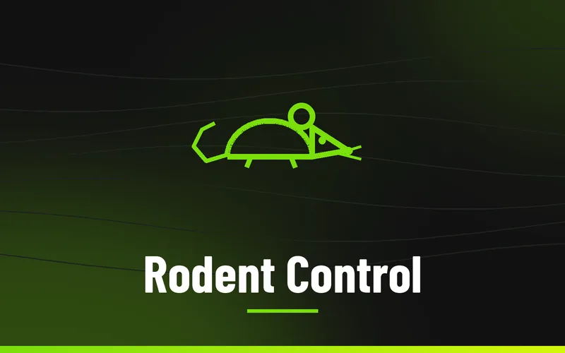 Rodent Control in Wilkes County NC, Skeeter's Pest Control