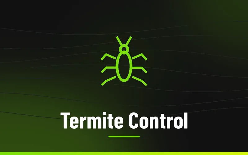 Termite Control in Wilkes County NC, Skeeter's Pest Control
