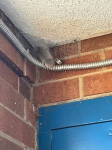 Vent opening screened off during wildlife exclusion work by Skeeter's Pest Control in Wilkes County, NC
