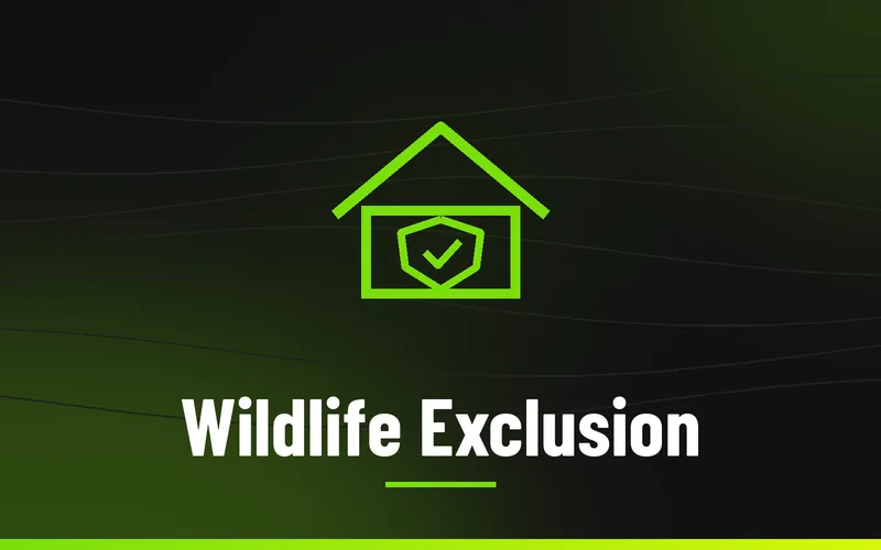 Wildlife Exclusion in Wilkes County NC, Skeeter's Pest Control